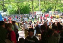 Abschnittsbewerb Enns in Kronstorf