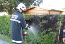 Tujenbrand in Thaling