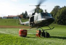 Fiktives Horrorszenario im Winklinger Holz