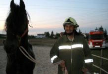 Pferdebergung bei Familie Schaumberger alt