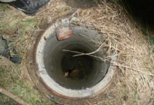 Kater in Sickerschacht alt